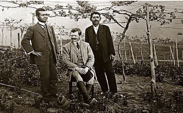 Weingut Hamm cellar atmosphere photograph