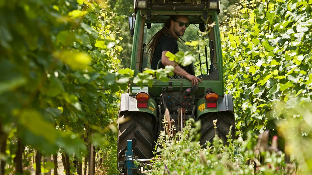 Dautel supporting gallery image 5