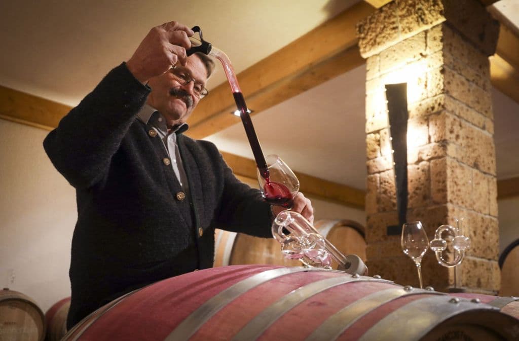 Weingut Dautel cellar portrait