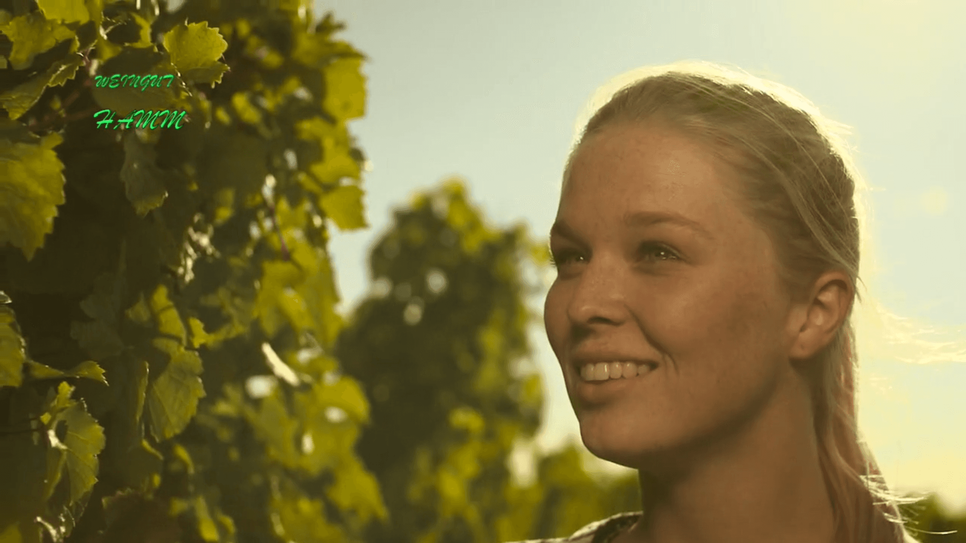 Weingut Hamm video placeholder