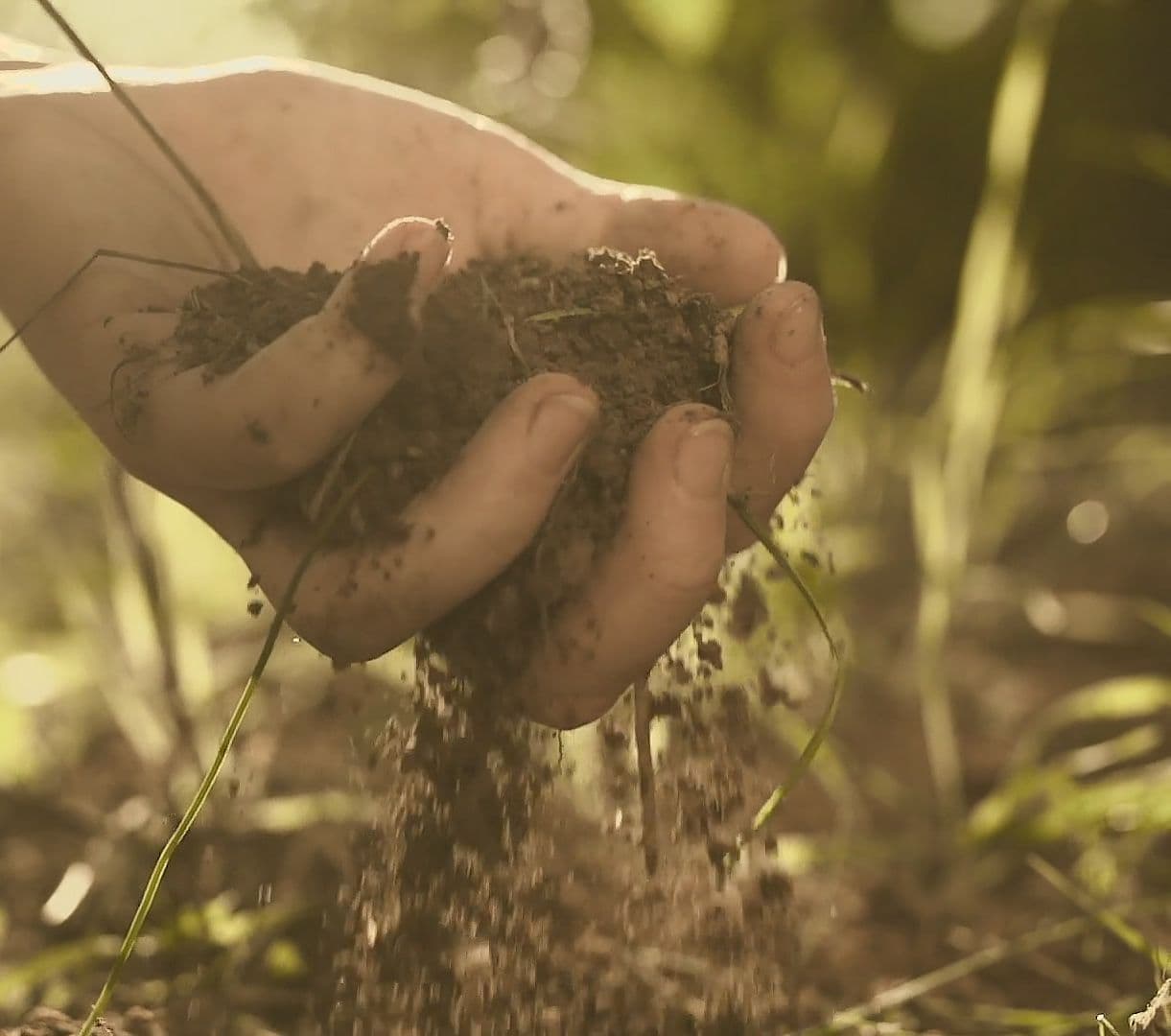 Weingut Hamm supporting gallery image 1