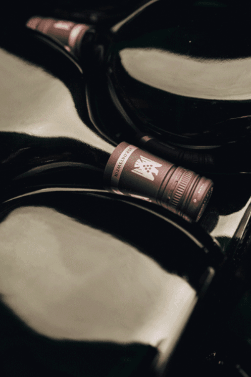 Horst Sauer supporting gallery image 4