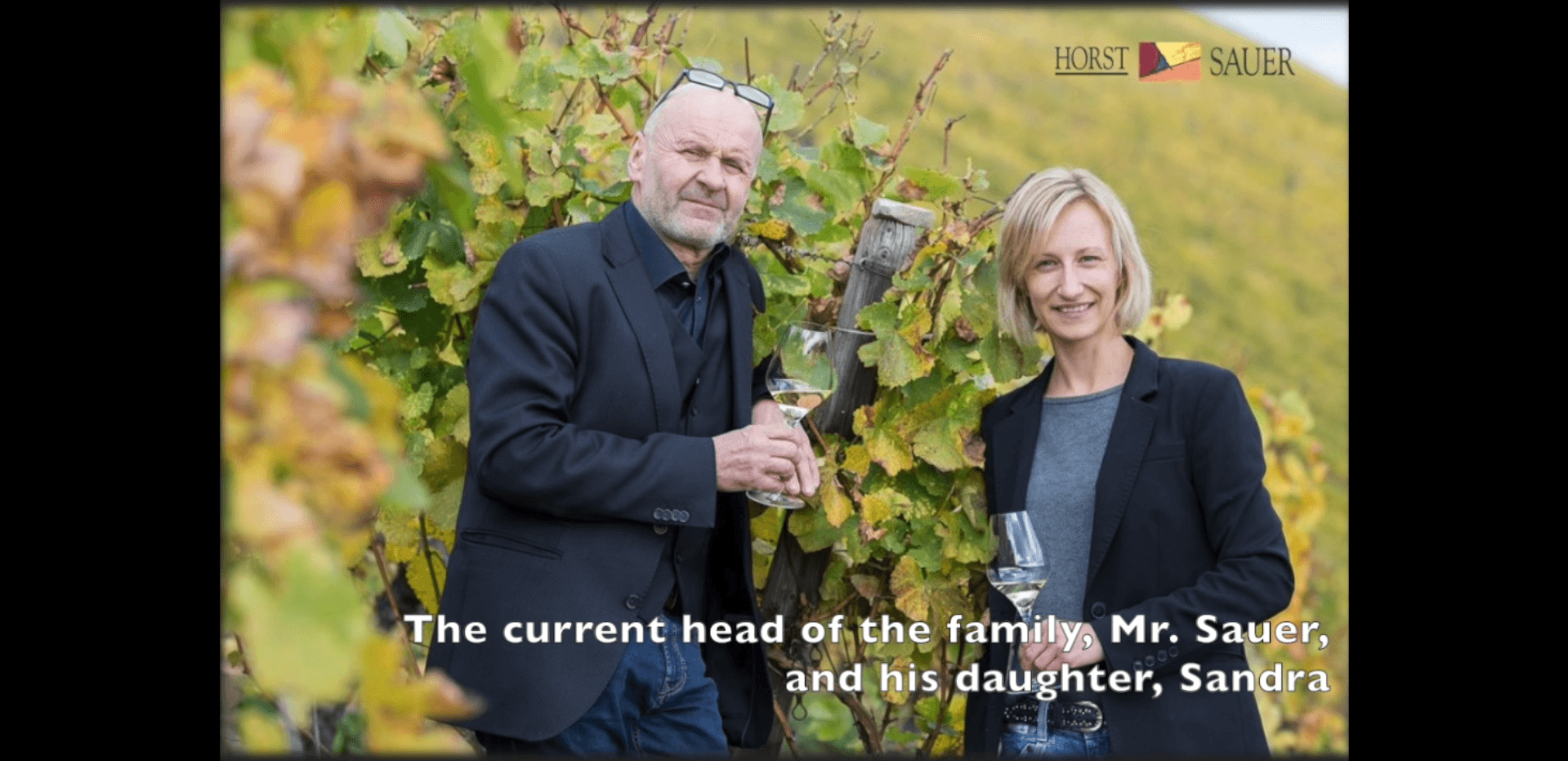 Horst Sauer video placeholder