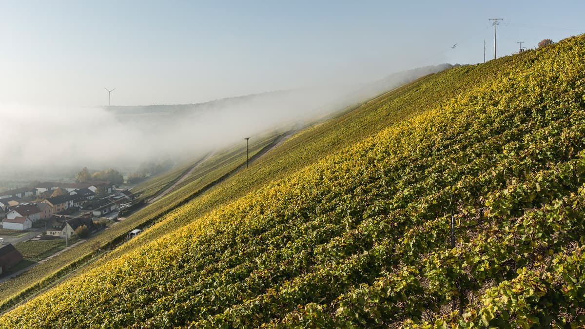 Horst Sauer supporting gallery image 3