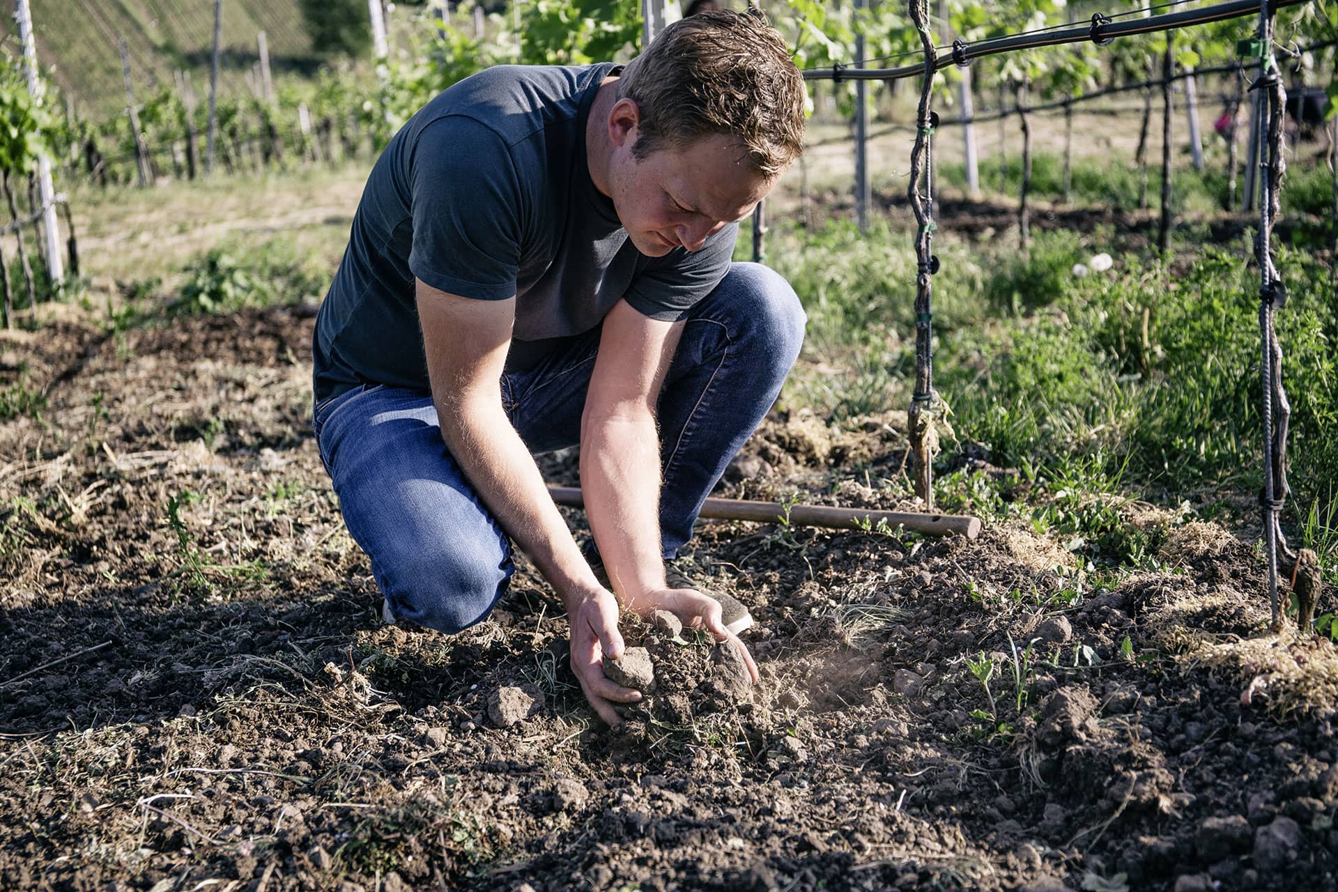 Johannes Landerer working in vineyard