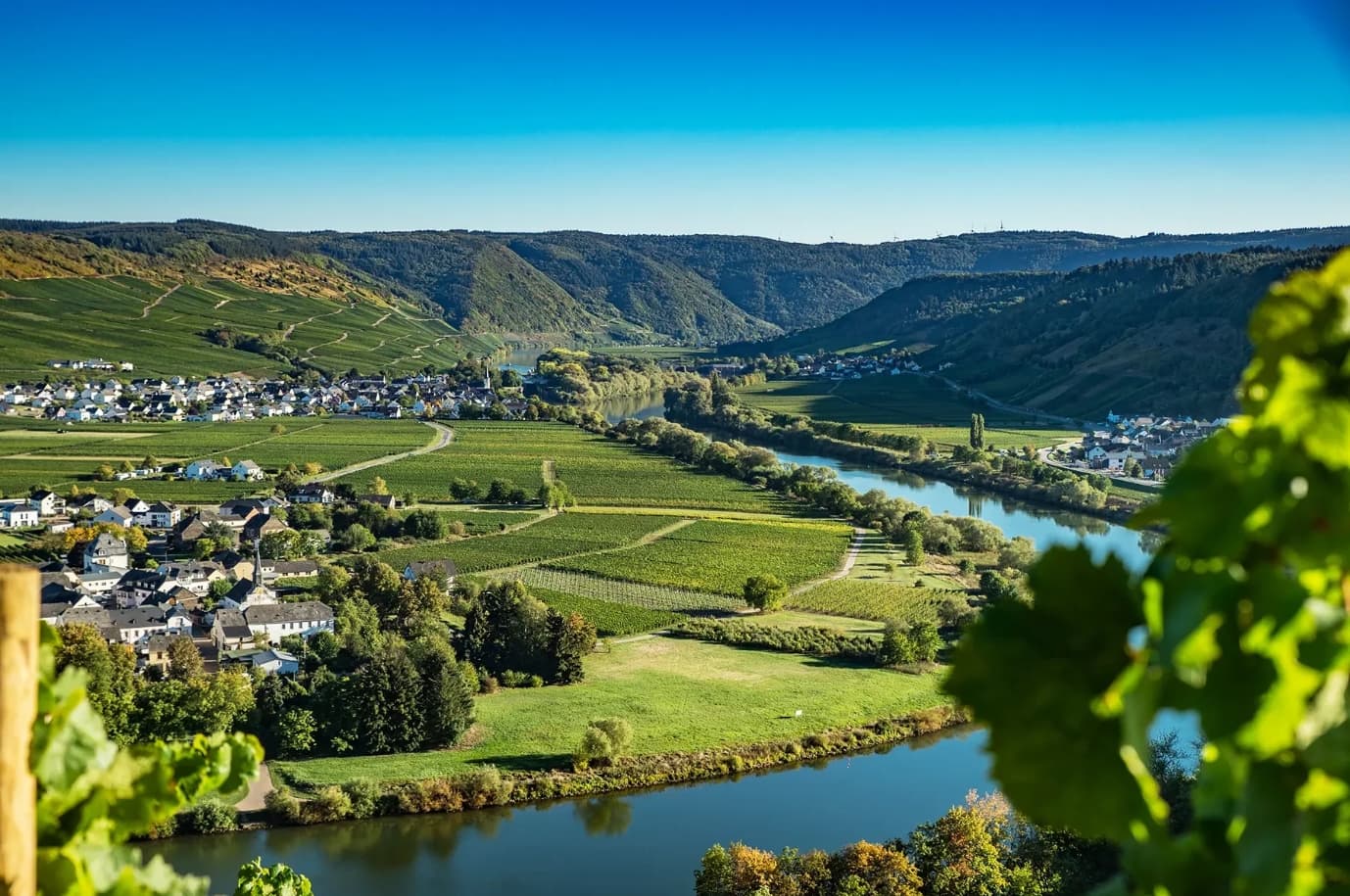 Ludwig main gallery Mosel landscape