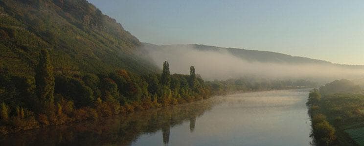 Weingut Ludwig video placeholder