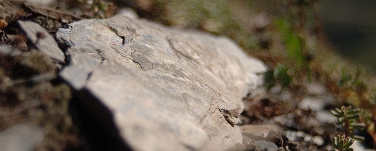 Ludwig supporting gallery slate detail