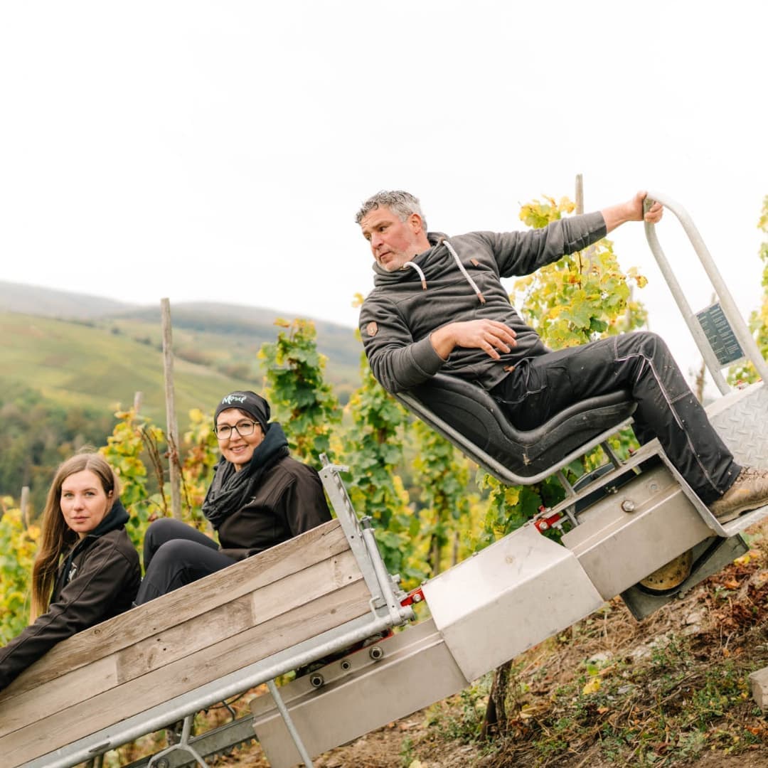 Ludwig supporting gallery vineyard work