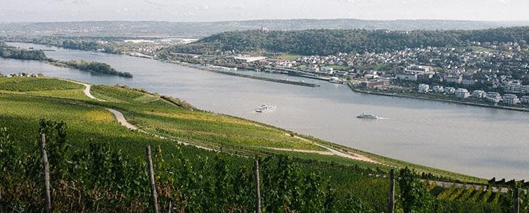 Balthasar Ress Rheingau landscape video poster