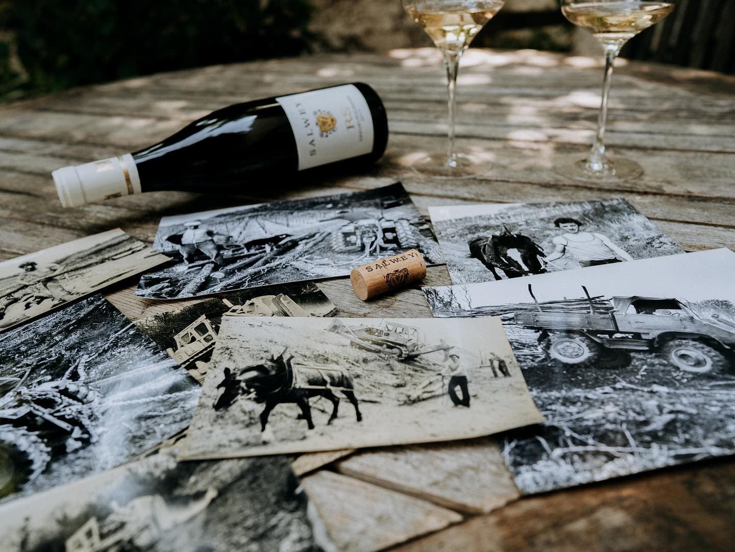 Weingut Salwey reflective portrait