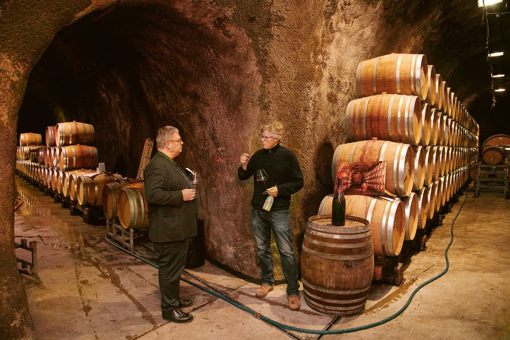 Salwey supporting gallery image 2