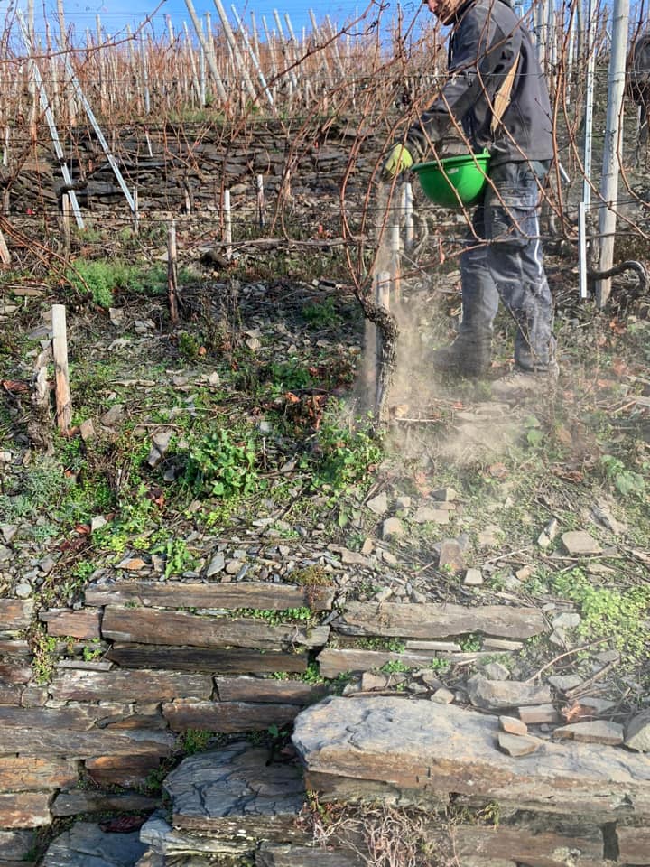 Jean Stodden supporting gallery image 1