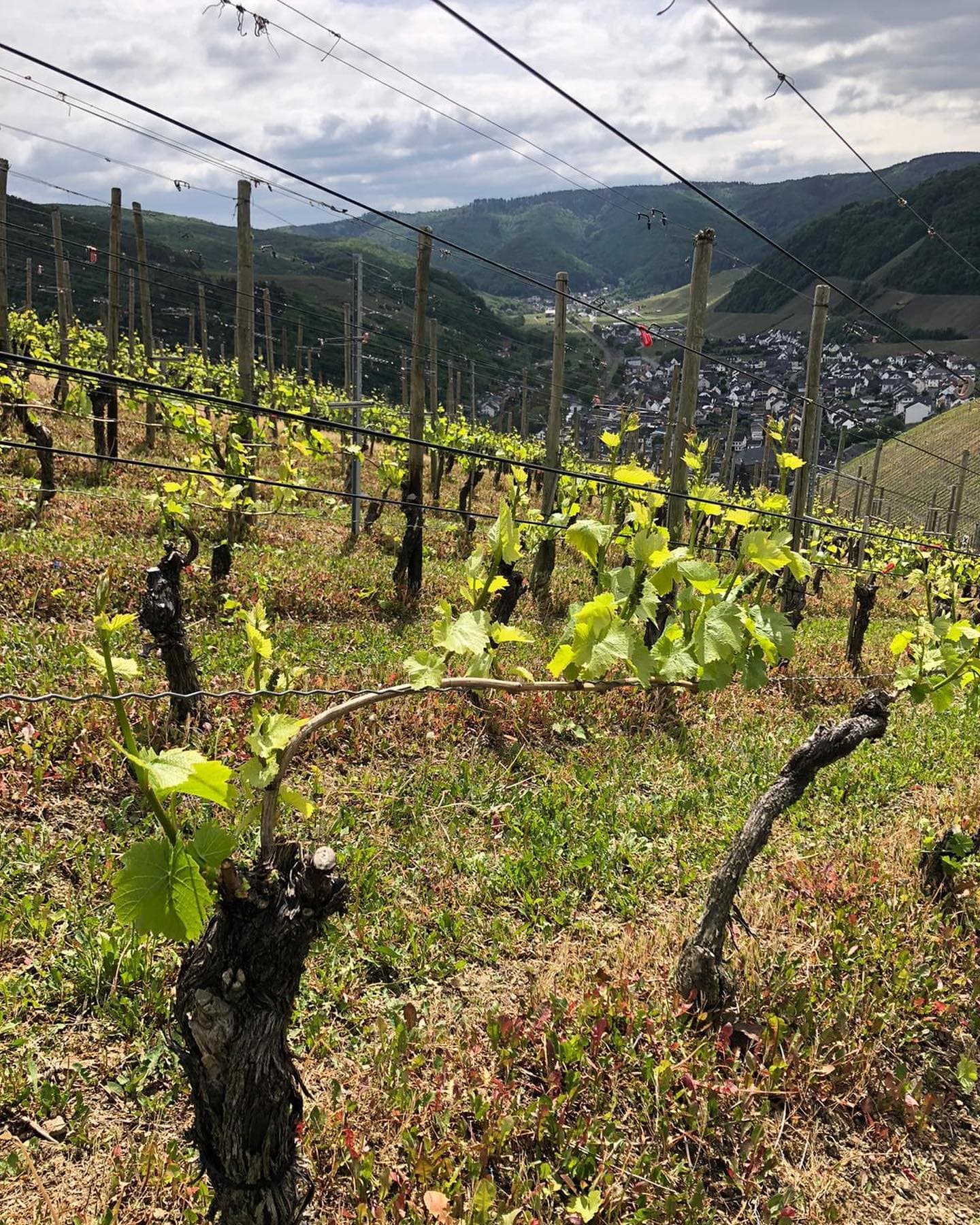 Jean Stodden supporting gallery image 2