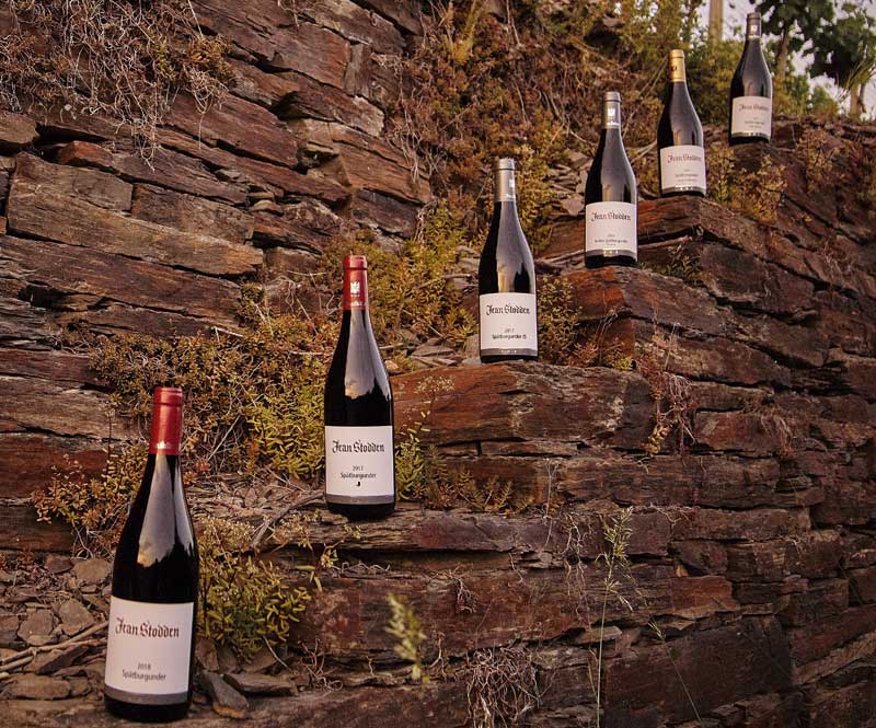 Jean Stodden editorial wine still life