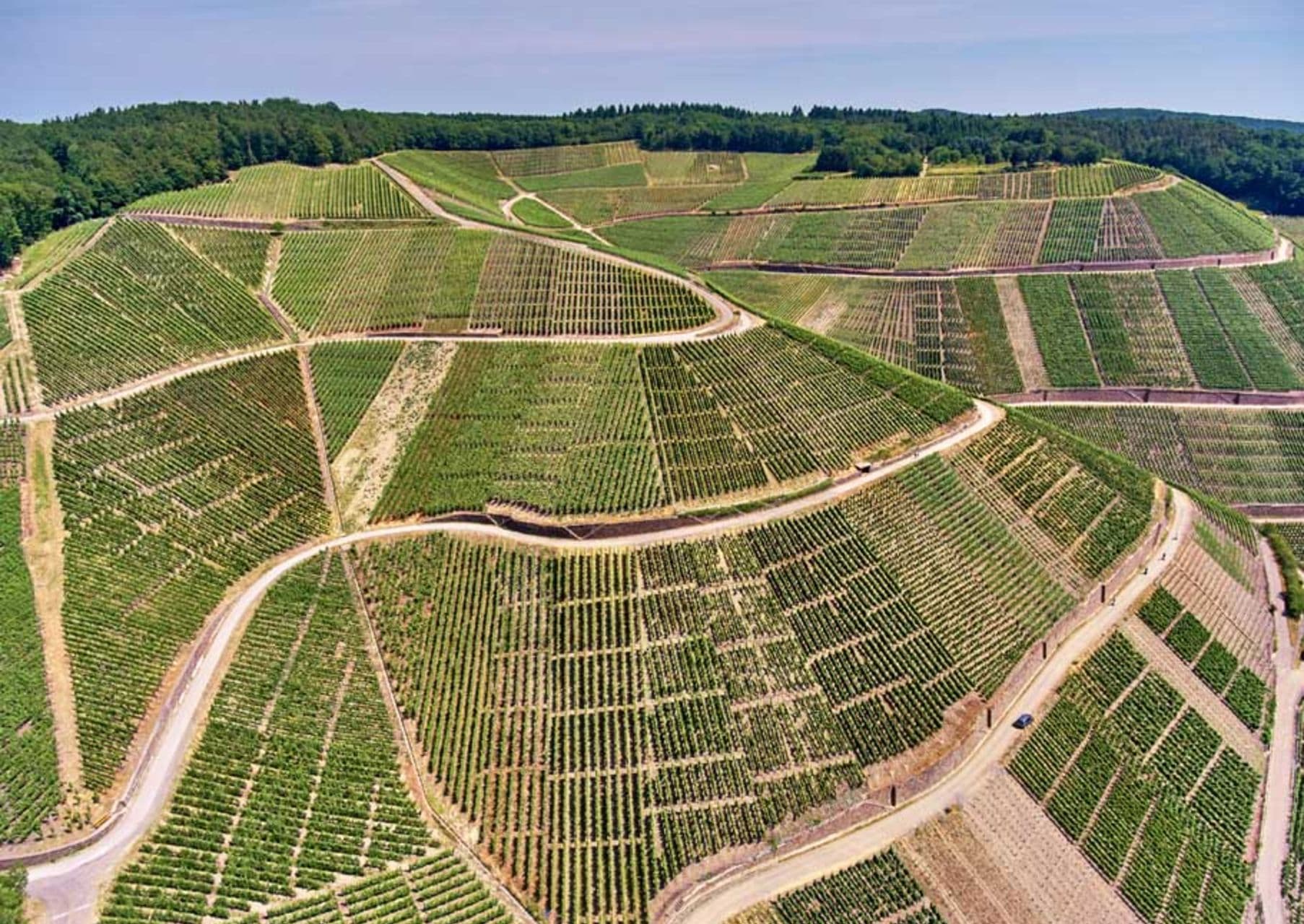 Jean Stodden main gallery image