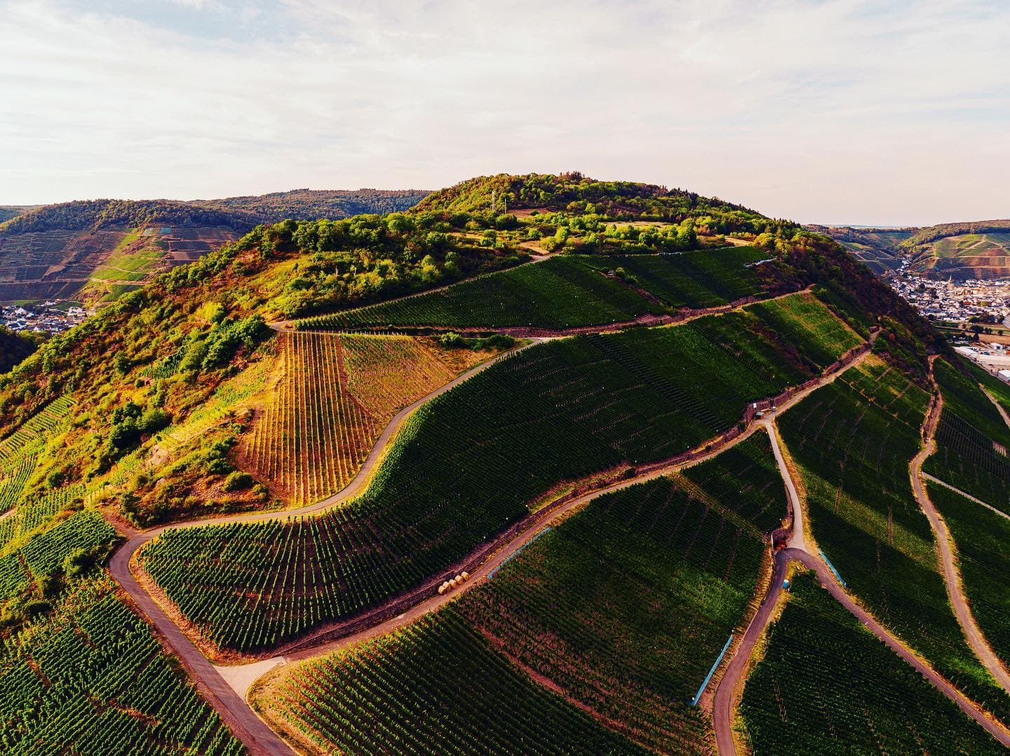 Ahr steep slope landscape for Jean Stodden