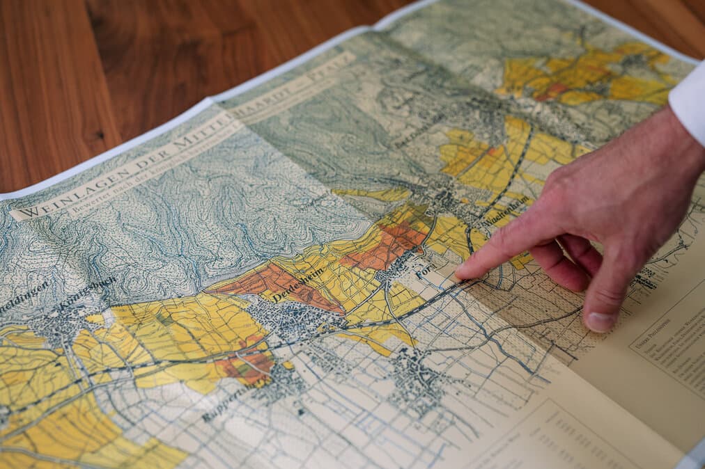 Dr. Bürklin-Wolf supporting gallery image 3