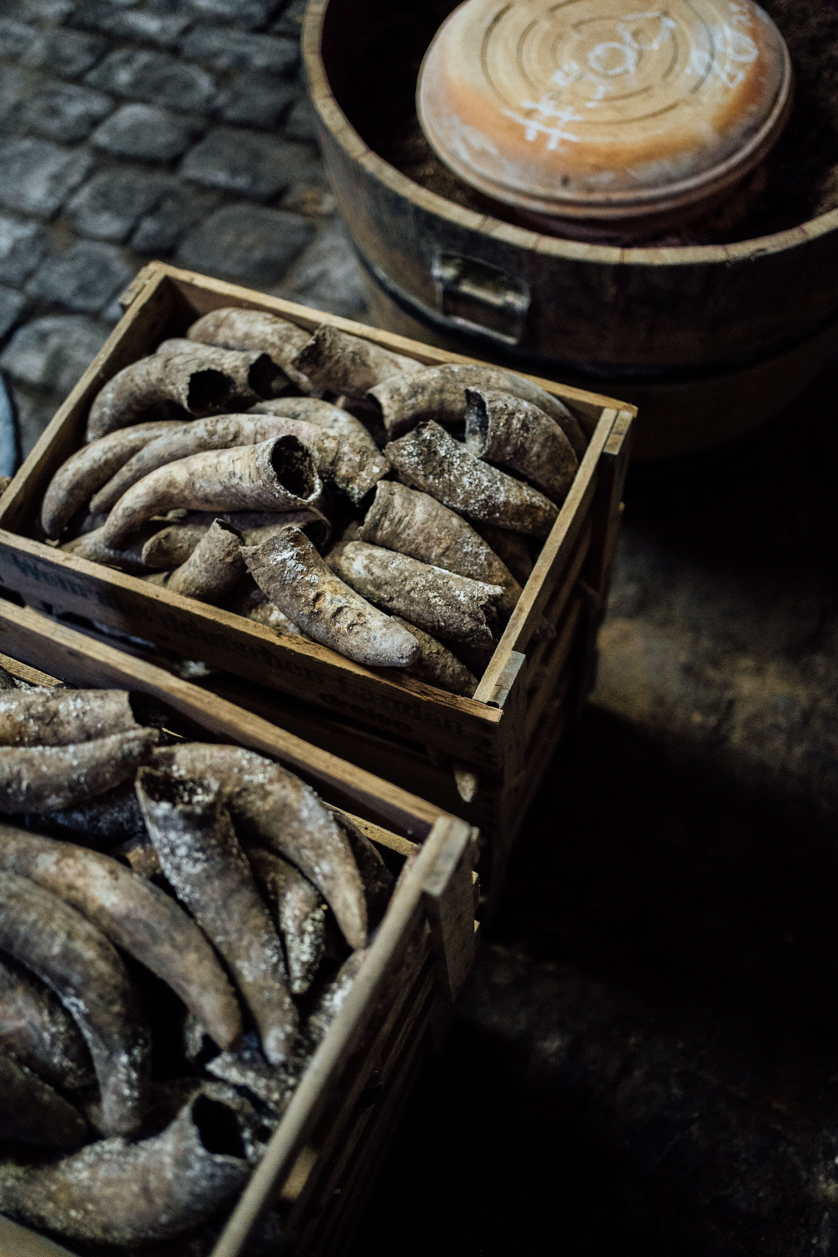 Dr. Bürklin-Wolf supporting gallery image 4