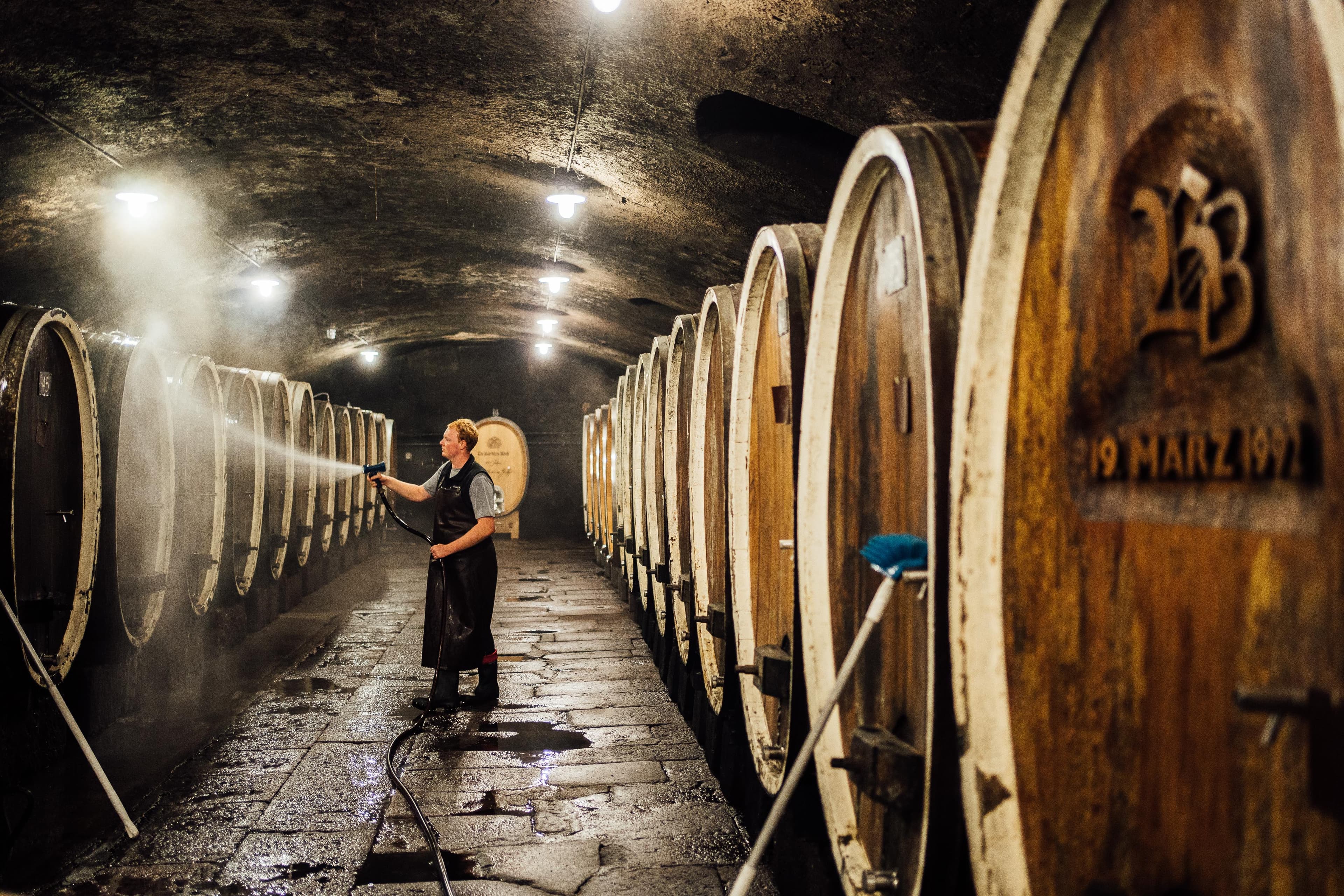 Dr. Bürklin-Wolf supporting gallery image 1